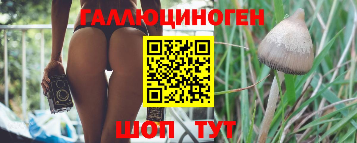 Псилоцибиновые грибы Magic Shrooms  Псилоцибиновые грибы GOLDEN TEACHER  Можайск  Вход с VPN 